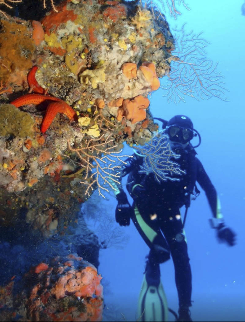 Croatia Diving In Kastela Bay
